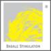 Logo-basale-Stimmulationg Bewegungsentwicklung