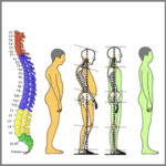 Mit Pferdestärke in Therapie und Pädagogik Aufbaukurs Fortbildungen Mössingen
