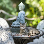 Buddha und Katze im Garten